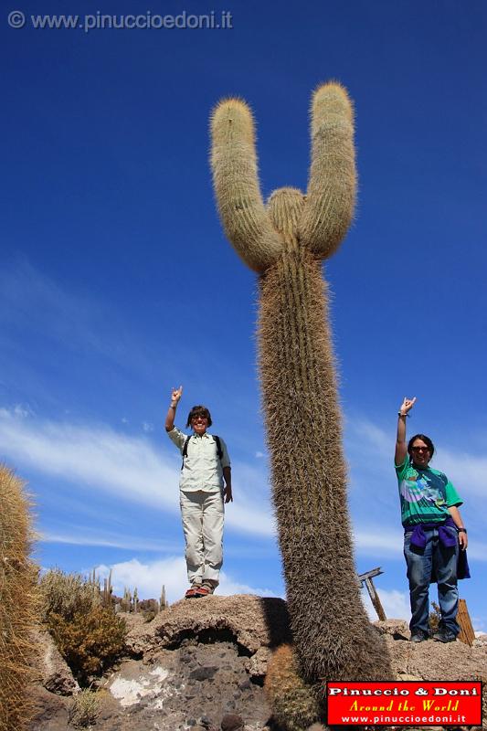 BOLIVIA 2 - Isla Incahuasi - 05.jpg